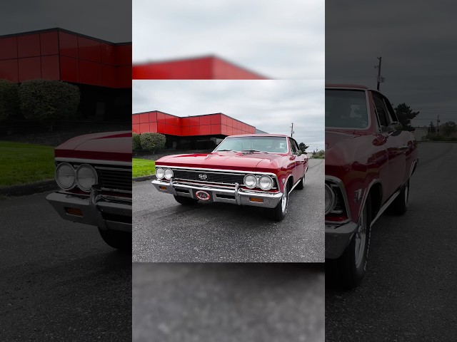 Check out our New Arrival! 1966 Chevrolet Chevelle!