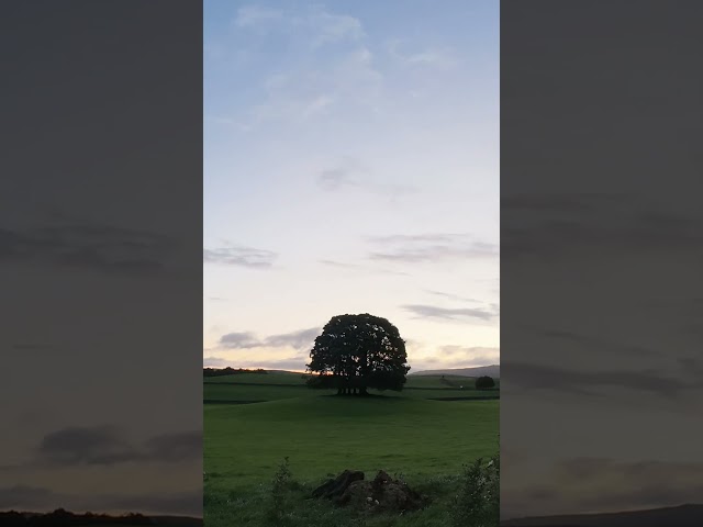 Yorkshire Dales Sunrise #sunrise #yorkshire # landscapephotography