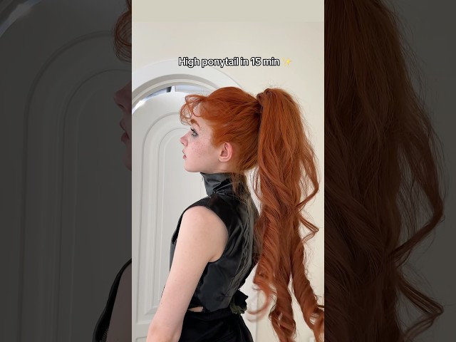 Simple high ponytail 🦊