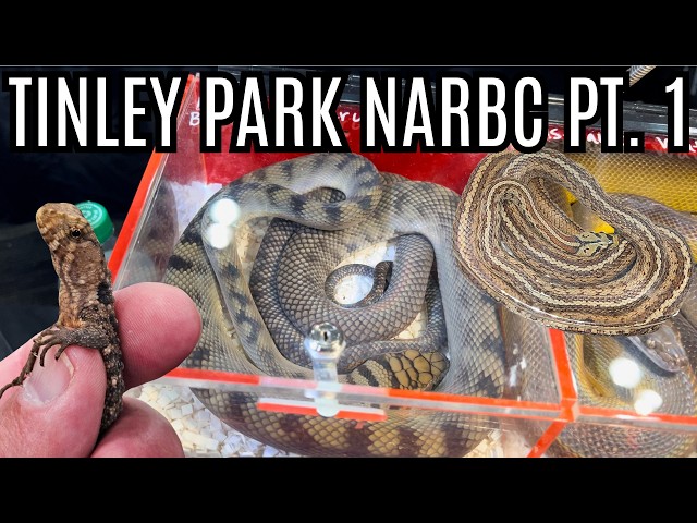 The BEST Animals At Tinley Park NARBC | Part 1