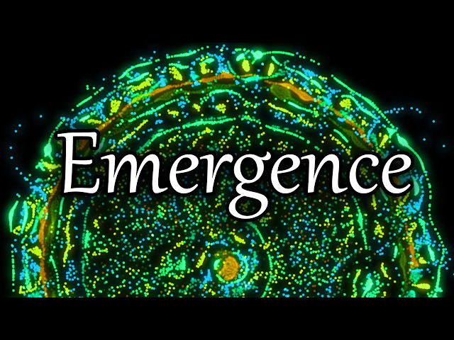 Emergent Complexity