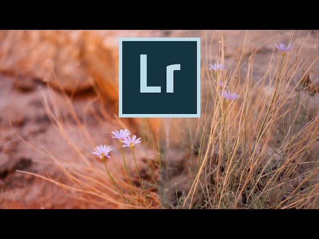 Learn to make the BEST Lightroom presets!