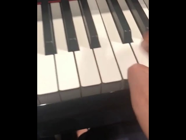 Yundi Li - Chopin Piano Sonata No.3 second movement (part)
