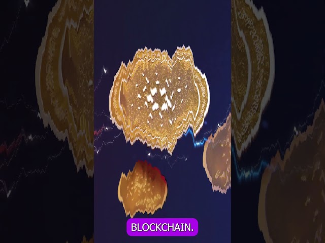Smart Contracts 🔥 What is The Best Smart Contract Platform for Cardano?