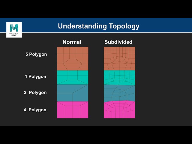Understanding Topology in Maya