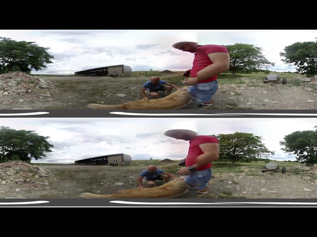 vuze 3D