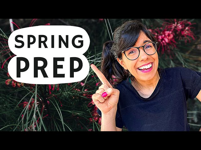 Preparing plants for spring + AMAZING GROWTH 💁
