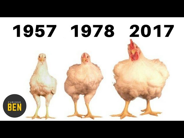10 Incredible Food Facts That Will Change the Way You Think