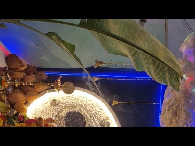 Bappa Darshan live