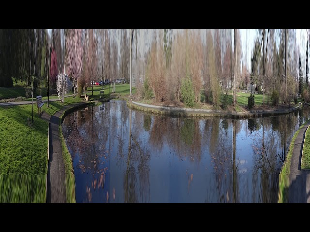 Memorial Park Pond 360 Spring v2 Top Bottom Split injected