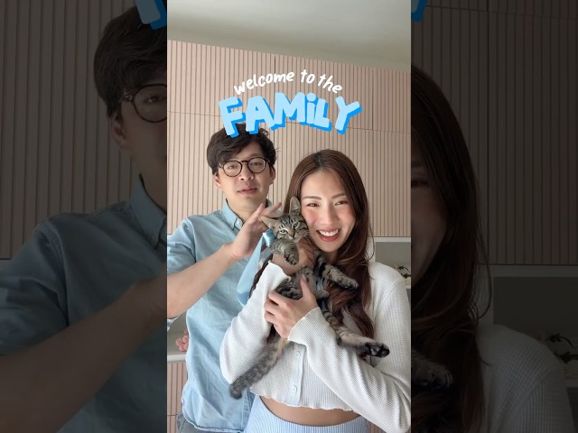 How did we end up with an extra family member?! 🐈‍⬛