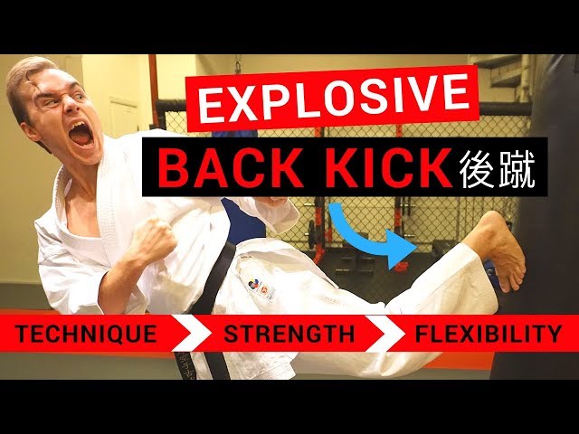 EXPLOSIVE KARATE BACK KICK EXERCISES (USHIRO GERI) — Jesse Enkamp