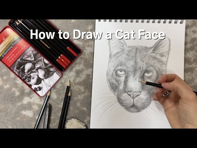 How to Draw a Cat Face! (Easy Step by Step Narrated Tutorial)