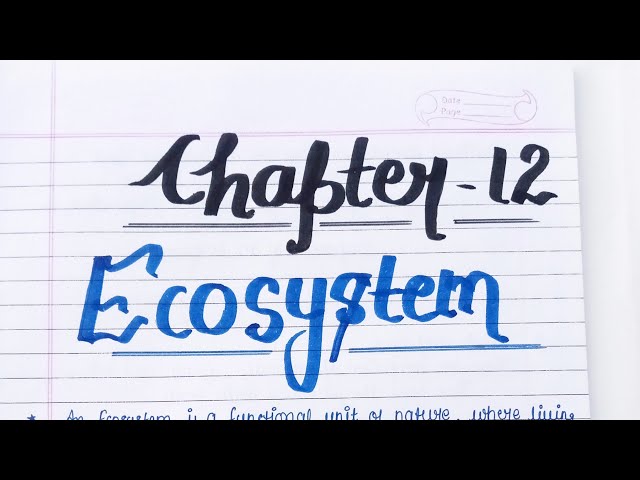 Ecosystem || Class 12 Biology Chapter 12 Handwritten notes 👍💯  #notes #class12th #biology