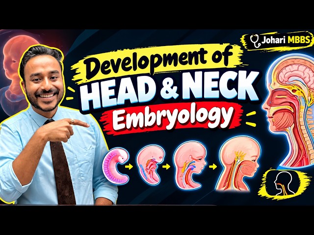 Development of Head & Neck Embryology | Head and Neck Development Embryology MBBS 1st Year