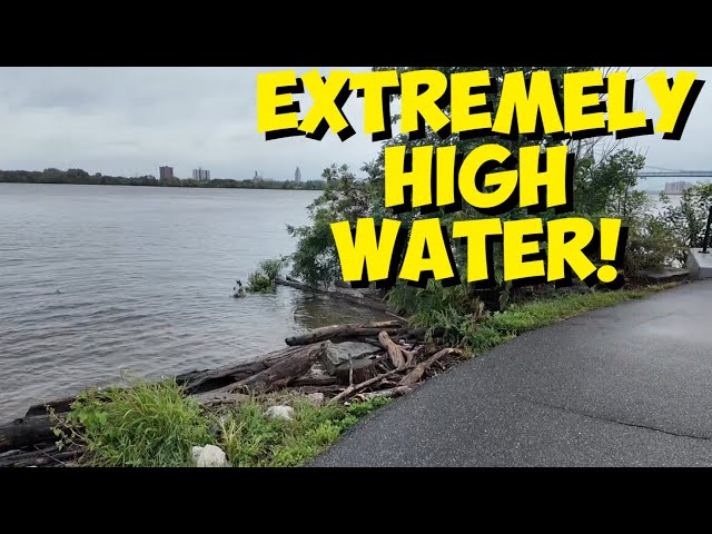 The Delaware River Is Almost Flooding! (Mapping Out My River Wards Tour)