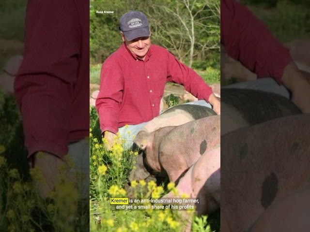 How Big Pork takes money from small farmers — then uses it to lobby against them