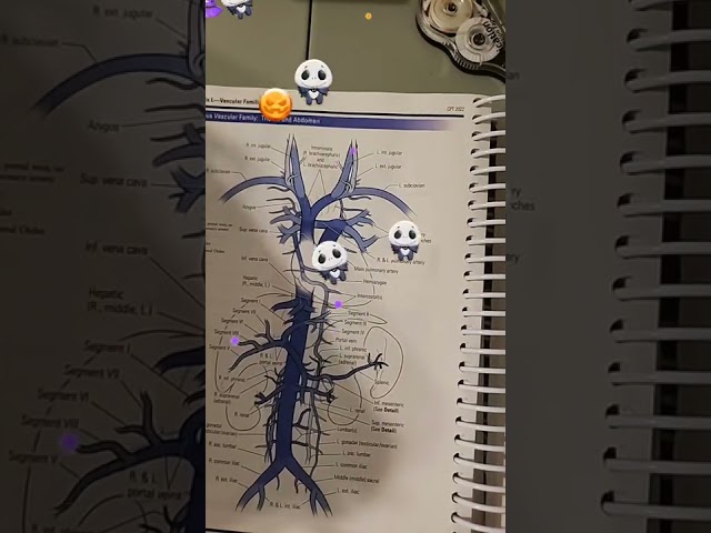 REPEAT LIVE 10-26-22 Appendix L Cases Immunizations Integumentary Medical Coding Question Help CPC