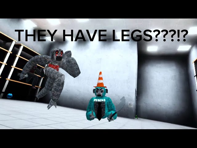I PLAYED HUSS BABOON