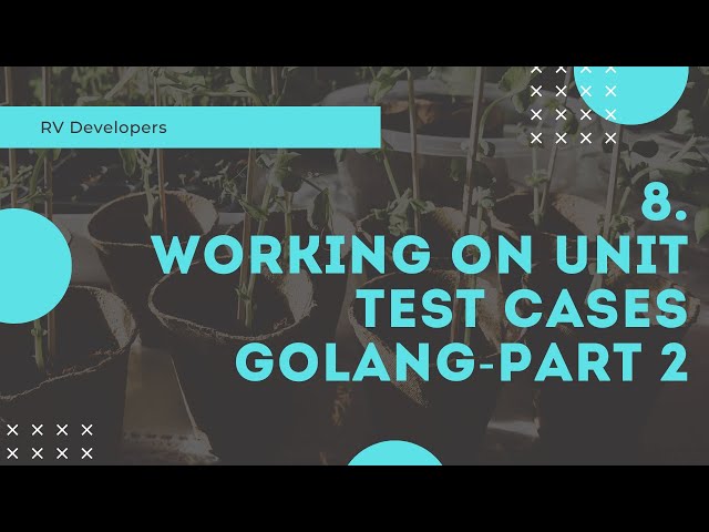 8  Working on unit test case golang Part 2