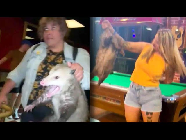 Animals Who Were Caught Inside Bars