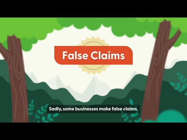 FSC Basics: False Claims