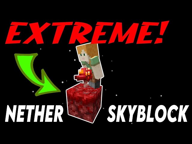 ONLY 2 blocks! [ProtoSky] EXTREME Nether Skyblock Ep.0