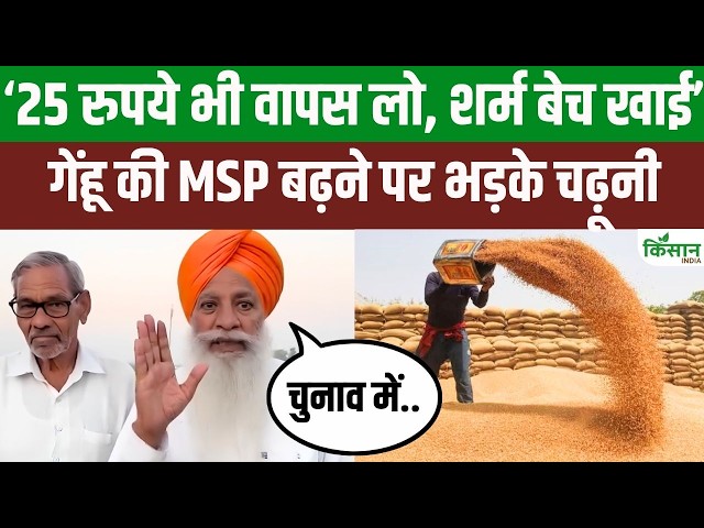 Gurnam Singh Charuni attacks wheat MSP, says - take back the 25 rupee hike, what did the farmer get?