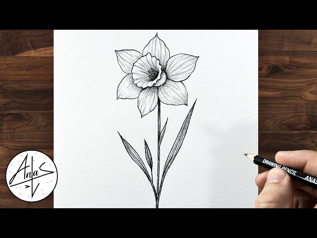How to Draw a Beautiful Daffodil Flower with Pencil 🌼 | Easy Flower Drawing Tutorial