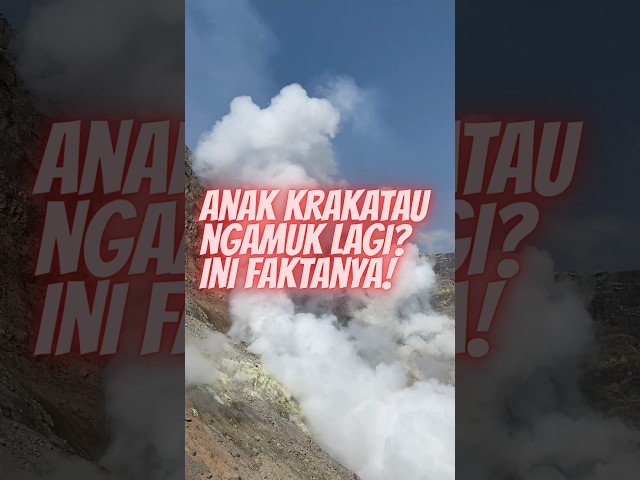 ANAK KRAKATAU NAIK LAGI ? Ini Faktanya !