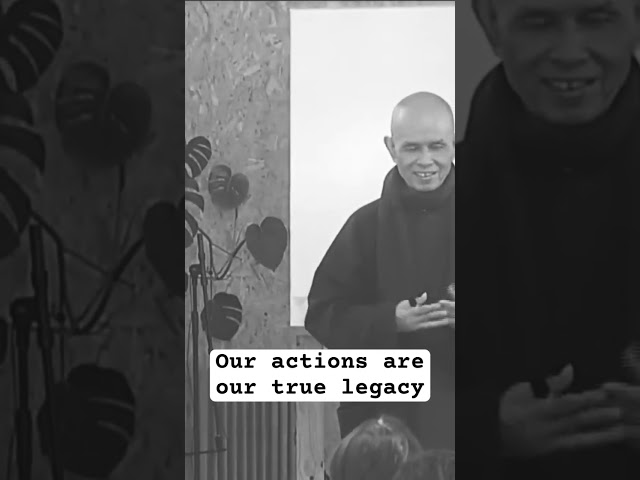 Applied Ethics: Action Rooted in Compassion and Non-Discrimination  #love #zen #buddhanature