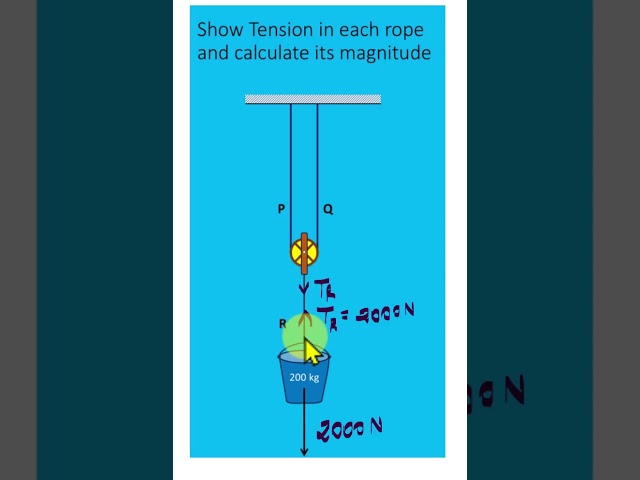 TENSION IN ROPES IN A PULLEY