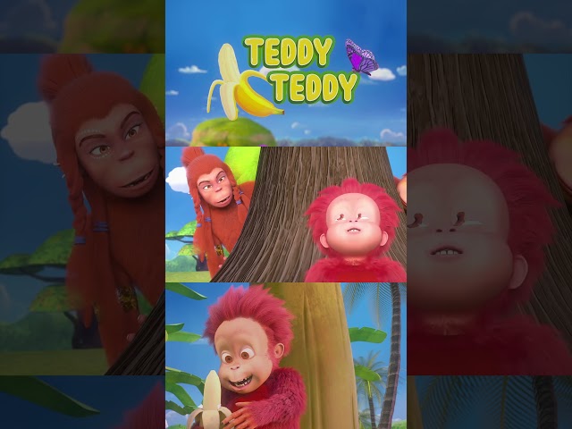 Teddy Teddy - Orangutan Babies #teddyteddy #OrangutanBabies #nurseryrhymes