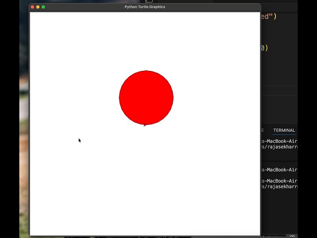 Python Circle Area Visualization | Math to Python