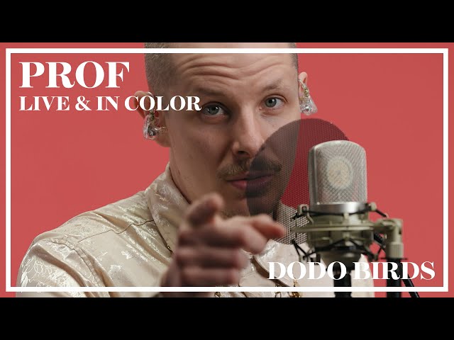 PROF - Dodo Birds (Live & In Color)