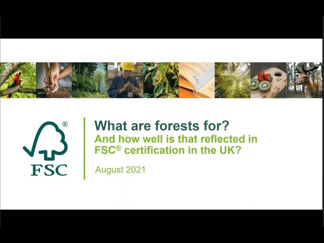 What are Forests For?