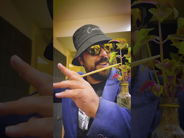 Benyamin's Surprises