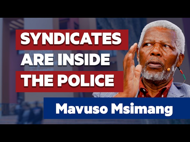 Mavuso Msimang: The Institutions Meant to Stop Crime Have Been Captured By It