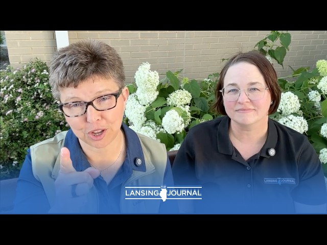 Why we contacted the Public Access Bureau — reviewing the Thornton Township June 15, 2026, meeting