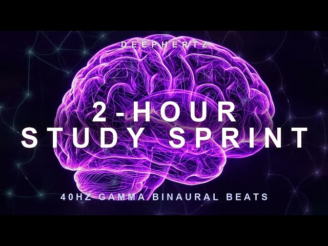 2-Hour Study Sprint — 40Hz Gamma Binaural Beats for Intense Concentration | Neural Net