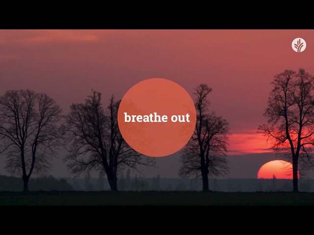 Our Daily Bread Evening Meditations | The Names & Titles of Jesus: Your Lamb