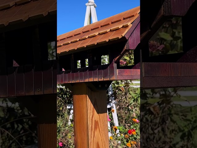 5 Best-Selling Birdhouse & Feeder Builds That Actually Make Money