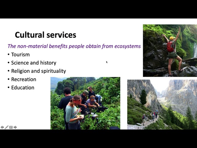 Ecosystem services