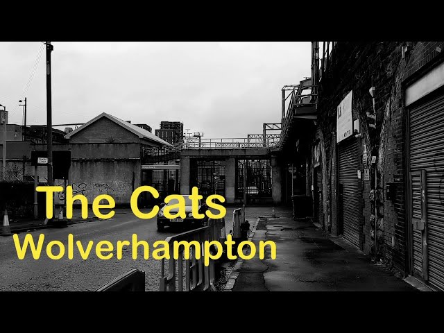 The Cats Wolverhampton