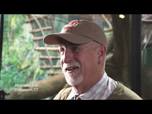Beardsley Zoo | Where energy meets zoology | Avangrid