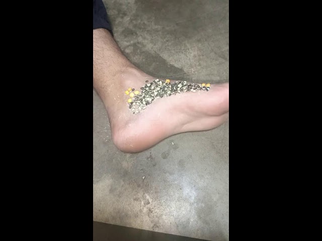 Seed Peeling ASMR | Peeling Glued Seeds | Relaxing Seed Removal