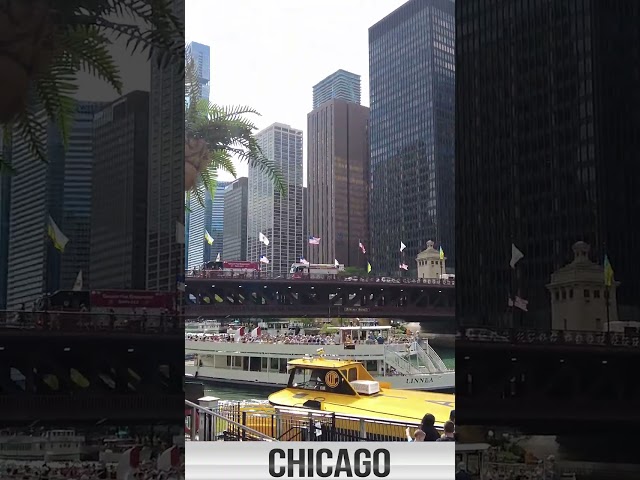 Why Chicago's Architecture is Actually Insane 🤯 #architecture #chicago #viral