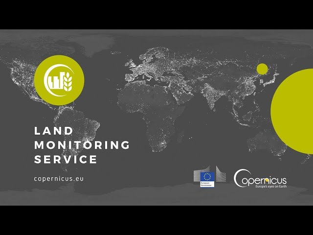 Land Monitoring Service - Submodule C: Forest damage detection through high resolution forest layer