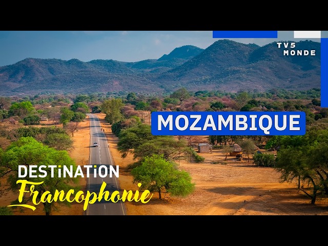 Mozambique: Discovering an Unsung African Paradise | Francophone Destination