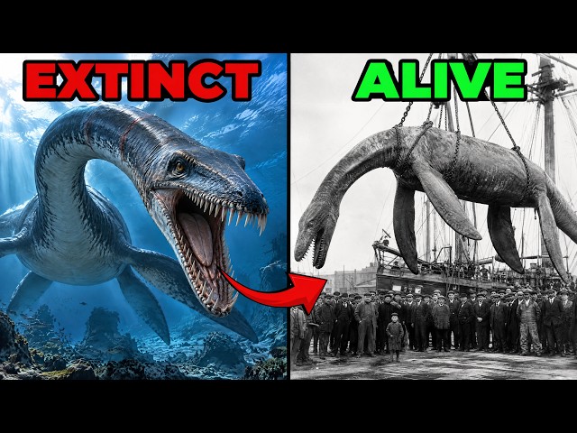 51 Extinct Animals That Might Still Be Alive | Full Series